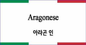 Aragonese 아라곤인