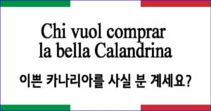 Chi vuol comprar la bella Calandrina "카나리아를 사실 분 계세요?"