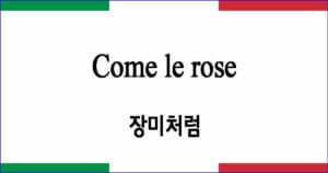 Come le rose "장미처럼"