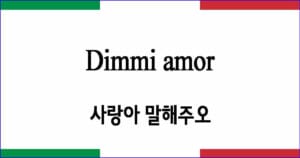 Dimmi amor 사랑아 말해주오