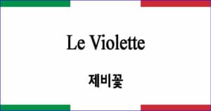 Le Violette 제비꽃