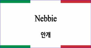 Nebbie 안개