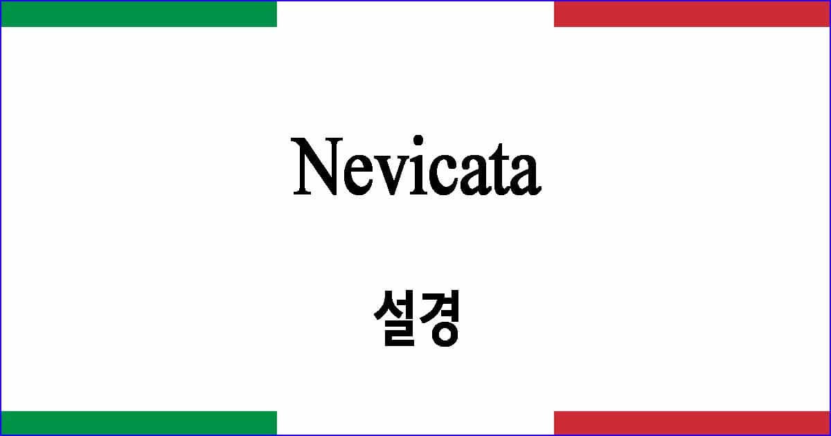 Nevicata 설경 이탈리아 가곡 발음 가사와 해석