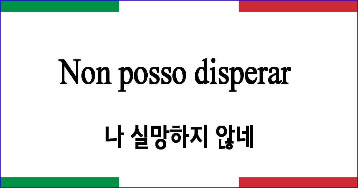 Non posso disperar 나 실망하지 않네 이탈리아 가곡 발음 가사와 해석