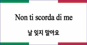 Non ti scorda di me 날 잊지 말아요 이탈리아 가곡 발음 가사와 해석
