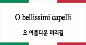 O bellissimi capelli 오 아름다운 머리결 이탈리아 가곡 발음 가사와 해석