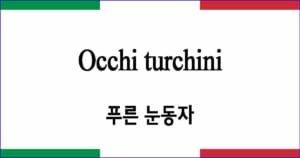 Occhi turchini 푸른 눈동자 이탈리아 가곡 발음 가사와 해석