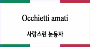 Occhietti amati 사랑스런 눈동자 이탈리아 가곡 발음 가사와 해석