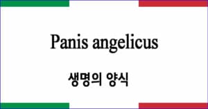 Panis angelicus 생명의 양식 이탈리아 가곡 발음 가사와 해석