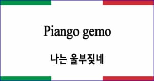 Piango gemo 나는 울부짖네