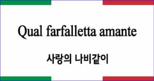 Qual farfalletta amante 사랑의 나비같이