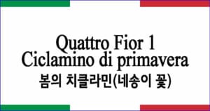 Ciclamino di primavera Quattro Fior 1 봄의 치클라민(네송이 꽃) 이탈리아 가곡 발음 가사와 해석