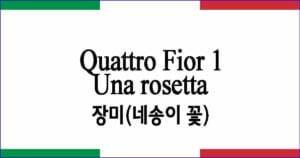 Una rosetta Quattro Fior 3 장미(네송이 꽃) 이탈리아 가곡 발음 가사와 해석