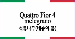 Il Melagrano Quattro Fior 4 석류나무(네송이 꽃) 이탈리아 가곡 발음 가사와 해석