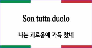 Son tutta duolo 나는 괴로움에 가득 찼네