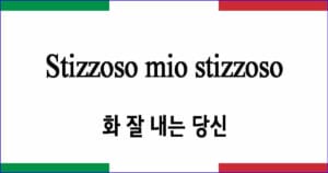 Stizzoso mio stizzoso 화 잘 내는 당신