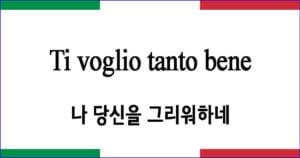 Ti voglio tanto bene 나 당신을 그리워하네 이탈리아 가곡 발음 가사와 해석