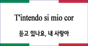 T'intendo si mio cor 듣고 있나요 내 사랑아 이탈리아 가곡 발음 가사와 해석