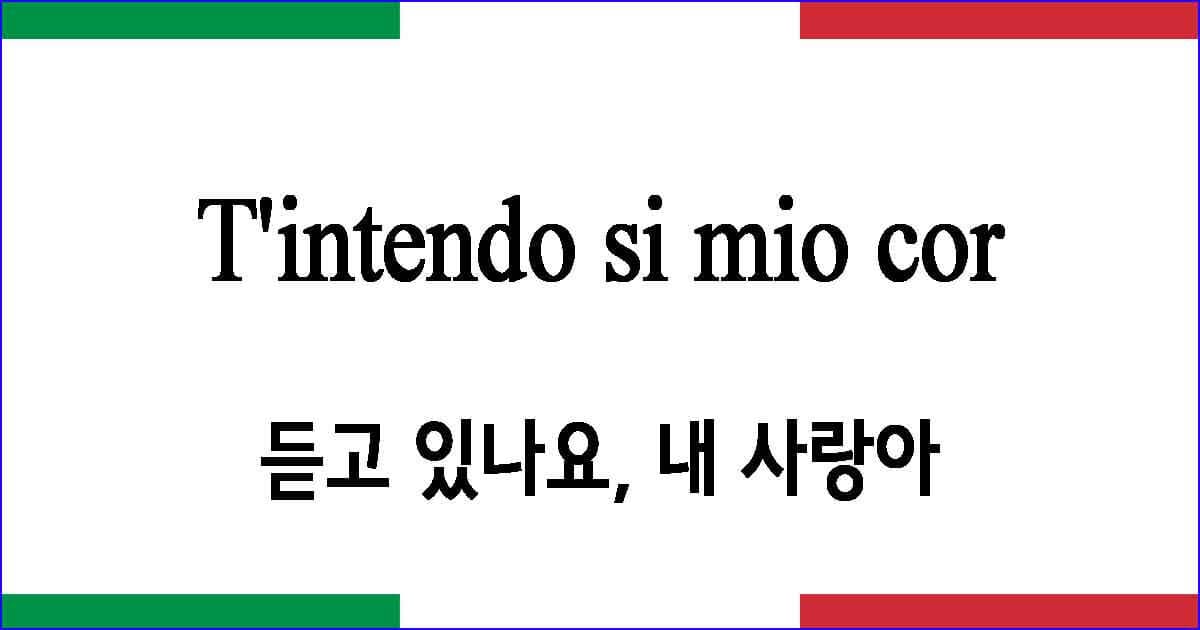T'intendo si mio cor 듣고 있나요 내 사랑아 이탈리아 가곡 발음 가사와 해석
