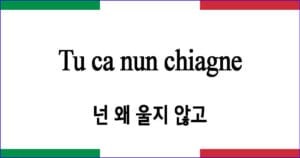 Tu ca nun chiagne 넌 왜 울지 않고 이탈리아 가곡 발음 가사와 해석