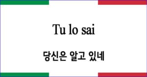 Tu lo sai 당신은 알고 있네 Scarlatti 작곡 이탈리아 가곡 발음 가사와 해석