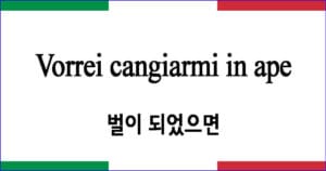 Vorrei cangiarmi in ape 벌이 되었으면 이탈리아 가곡 발음 가사와 해석