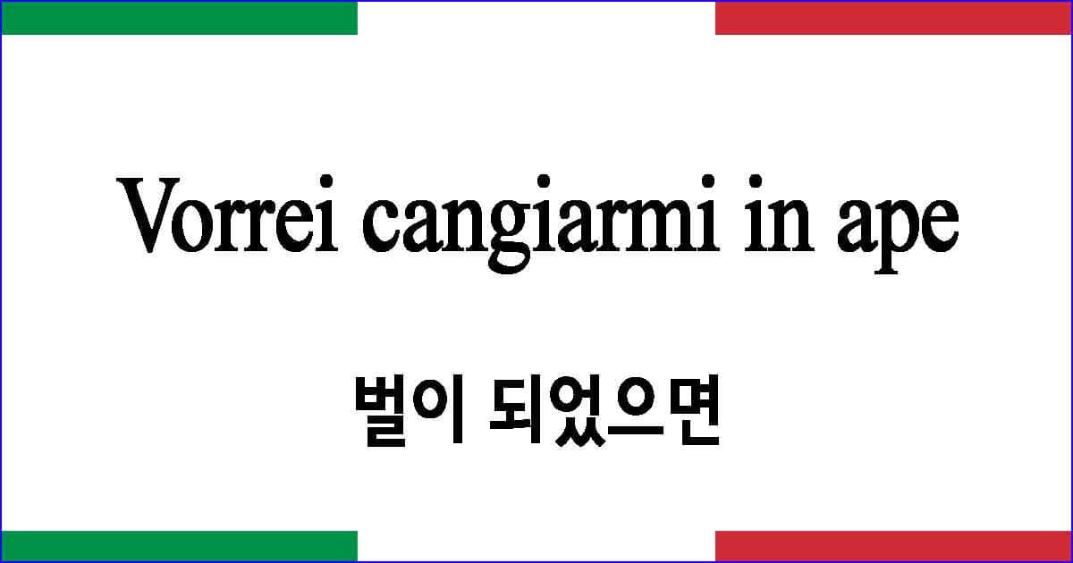 Vorrei cangiarmi in ape 벌이 되었으면 이탈리아 가곡 발음 가사와 해석